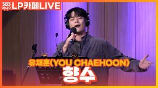 LIVE 유채훈YOU CHAEHOON - 향수  원곡 이동원 박인수  정엽의 LP카페