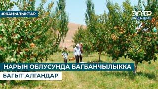 НАРЫН ОБЛУСУНДА БАГБАНЧЫЛЫККА БАГЫТ АЛГАНДАР