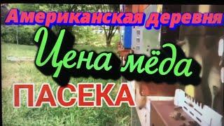 Цена мёда в магазинах Америке