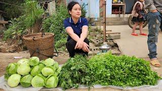 Cabbage Harvest & Coriander Go market sell  Cook pig food  Life in farm.