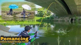 Heboh..Jadi Tontonan Pemancing Saat Mancing Dapat Ikan Nila Besar