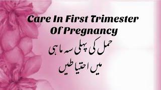 Care In First Trimester Of Pregnancy  Pregnancy Care In First Trimester  Care In First Trimester