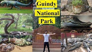 Guindy National Park Chennai in Hindi  Childrens park Chennai  Snake park Chennai  Guindy park