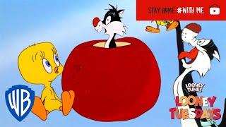 Looney Tuesdays  Iconic Duo Tweety and Sylvester  Looney Tunes  WB Kids