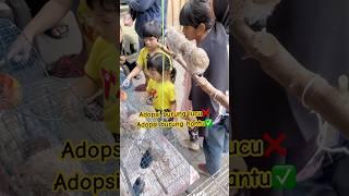 DETIK DETIK DISTA ADOPSI BURUNG HANTU TAKUT MALAMNYA #viralvideo #trending #viralshort