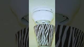 Crazy wobbly ceiling fans #ringtone #edit #ceilingfan #shorts