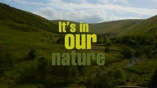 North Northumberland... its in our nature.  Through the seasons