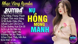 NỤ HỒNG MONG MANH NGƯỜI TÌNH MÙA ĐÔNG - ALBUM NHẠC VÀNG RUMBA CỰC HÓT 2024 NGHE XAO XUYẾN CON TIM