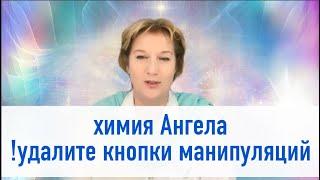 1010 химия Ангела = удалите кнопки манипуляций