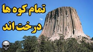 تمام کوه های روی زمین درخت اند و به شما دروغ گفتند