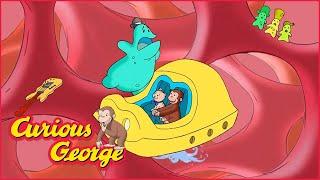 247 LIVE  George Goes Exploring  Curious George