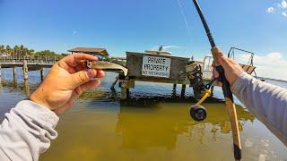 Snook Redfish Tarpon on NLBN Fishing around Florida Docks