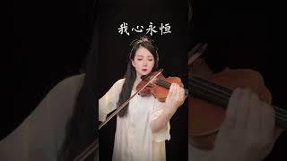 My heart will go on violin cover