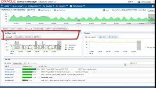 Manage Database Performance with the Performance Hub in EM Express 12c