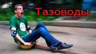 Тазоводы