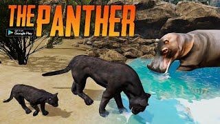 The Panther Animal Simulator