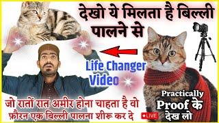 Billi  Cat  पालने से क्या फायदा  और नुकसान होता है समझ लो - Ghar Me Billi Aane Ke Fayde Suno