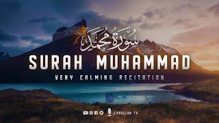 Surah Muhammad سورة محمد - Calm your heart with beautiful recitation  Zikrullah TV