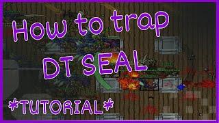 Tibia - Profit for ek- How to trap DT Seal on Feru *Tutorial*