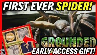 GROUNDED 1.0 Early Acces Gift First Ever Spider Gameplay Leaked Gameplay Never Releasing