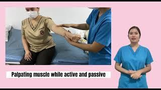 Musculoskeletal Assessment