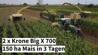 Maishäckseln mit 2 Krone Big X 700  150 ha Mais in 3 Tagen  Fendt 728  John Deere 6R  Prinoth