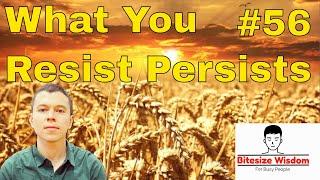 What You Resist Persists Learning To Allow Reality To Be As It Is Bitesize Wisdom #56