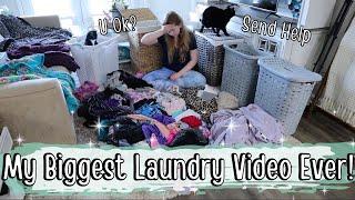 Two Days Of EXTREME Laundry Motivation 2022 My Biggest Laundry Video Yet... I Did 11 Loads