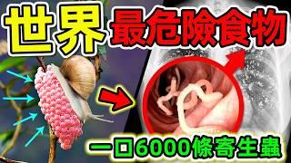 全世界最危險的10種食物！福壽螺每口6000條寄生蟲，為何被搶吃？第一名就在我們身邊，以後千萬別吃錯。#世界之最top #世界之最 #出類拔萃 #腦洞大開 #top10 #最危險食物