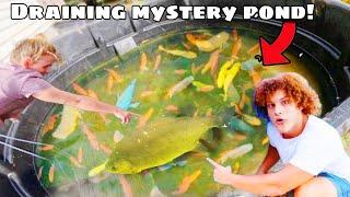 I Drained My MYSTERY FISH POND