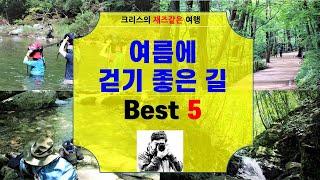 여름에 걷기 좋은 길 BEST5 l 계곡여행 ㅣ 여름여행지추천 ㅣ 국내여행