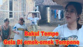 BAKUL TEMPE   Film pendek ngapak #mlekoki