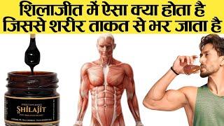 शिलाजीत में ऐसा क्या होता है जिससे शरीर को बेपनाह ताकत मिलती है? shilajit