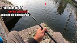 Edian..Mancing Ikan Di Sore Hari Striek Bertubi Tubi Ikan Besar