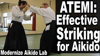 Aikido Atemi  Effective AIKIDO STRIKES • Modernize Aikido Lab