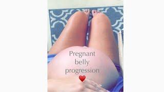 PREGNANCY BELLY PROGRESSION