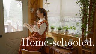 how my home-schooling experience changed my life - an alternative childhood