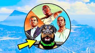 Как Разблокировать Собаку ЧОПА в ГТА 5 Моды Играем за собаку Франклина в GTA 5 Mods