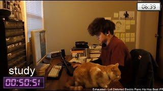 lofi hip-hop beats study with me pomodoro 60min1 hour10min