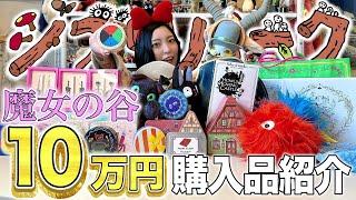 【購入品紹介】最強の新エリア魔女の谷で10万円爆買い！【ジブリパーク】【HAUL】