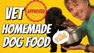 Vet Approved Homemade Dog Food Good for Digestive Issues