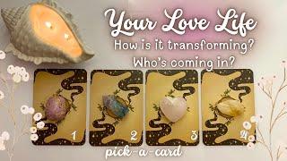 Pick A CardYour Love Life 2024 How’s It Transforming & Who’s Coming In Next? Psychic Reading