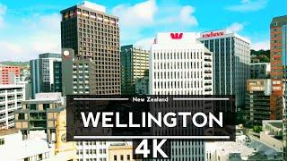 Wellington  New Zealand  4K by drone Travel