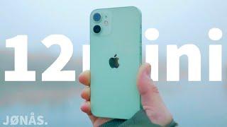 iPhone 12 Mini Alltagstest - was alle von Apple wollten