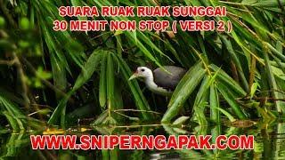 PANGGILAN KAWIN... SUARA RUAK RUAK SUNGAI