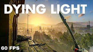 Dying Light FPS Fix Low End PC