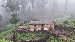 Rural Life in The Nepali Mountains in Nepal  Naturally Beautiful And Relaxing Life in Rainy Time