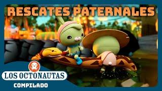 Los Octonautas -  Rescates paternales ️  Episodios Completos  Compilado