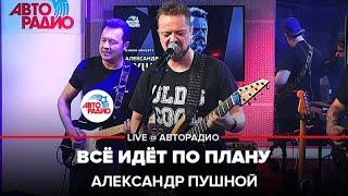 Александр Пушной - Всё Идёт По Плану Егор Летов Cover LIVE @ Авторадио