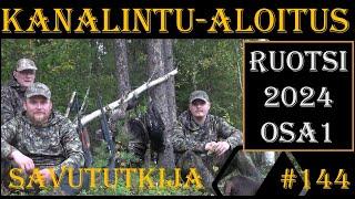 OSA1 Kanalintujahdin aloitus Ruotsissa 2024 - Grouse and Capercaillie Hunting in Sweden